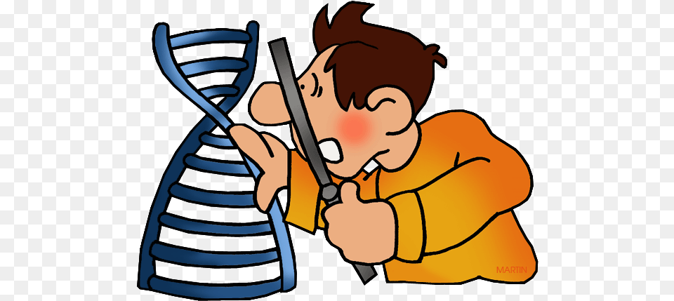 Science Clip Art By Phillip Martin Dna Dna Clip Art, Baby, Person, Cleaning Png Image