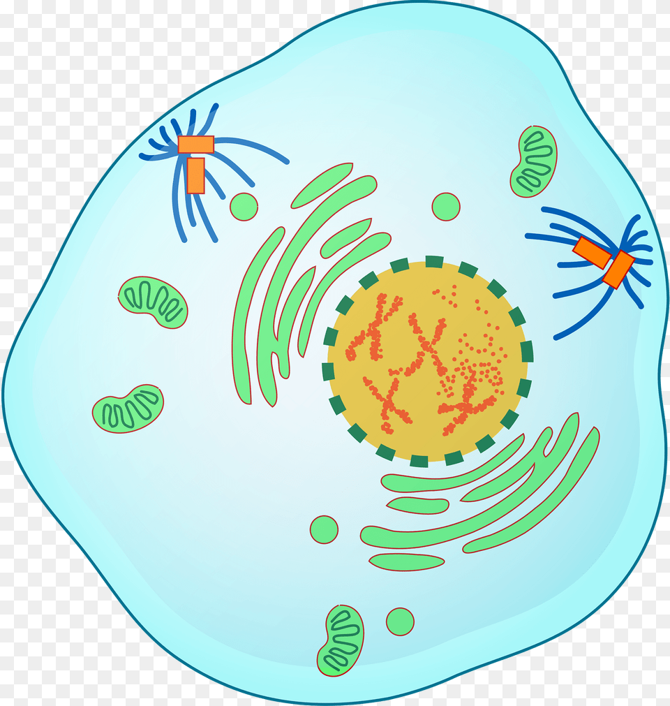 Science Clipart, Plate, Nature, Outdoors, Sea Png Image