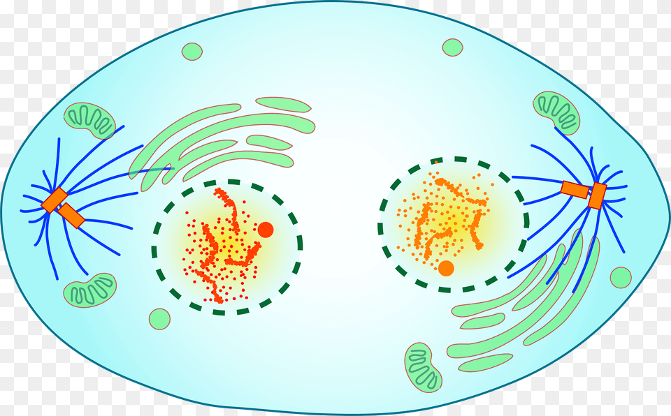 Science Clipart, Pattern Png Image