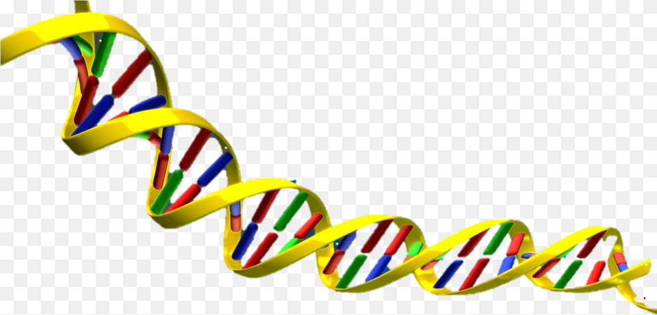 Science Clipart Dna Dna Double Helix Spiral, Coil, Art Free Transparent Png