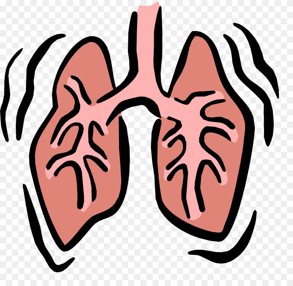 Science Clipart Respiratory System, Face, Head, Person, Adult Free Png