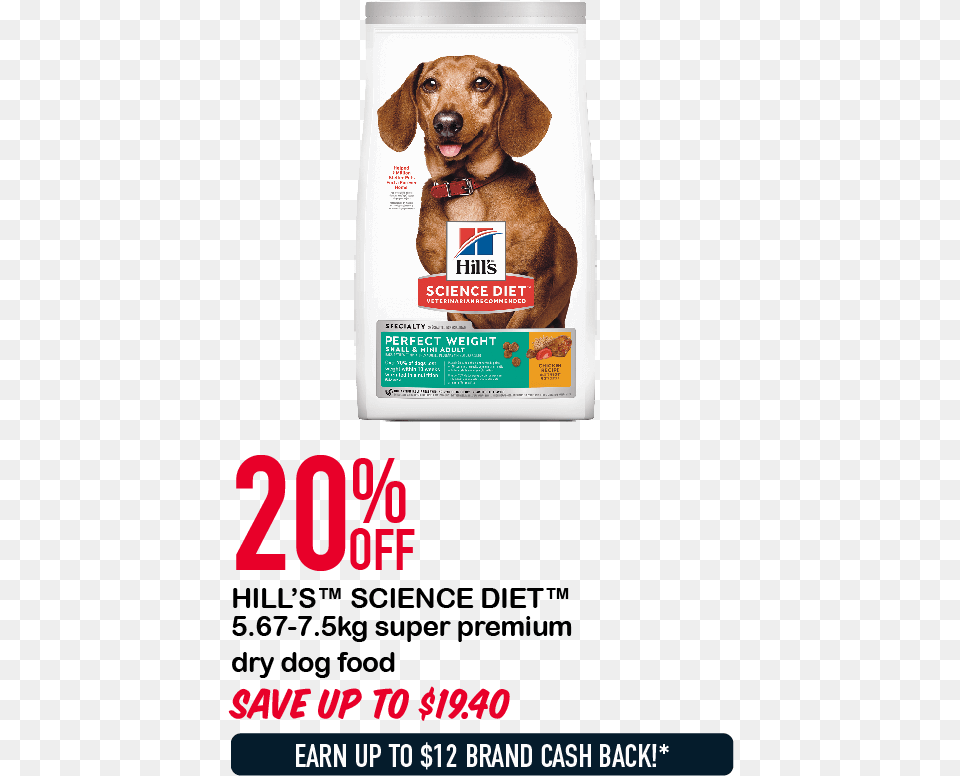 Science Diet Adult Perfect Weight Small, Advertisement, Poster, Animal, Canine Free Transparent Png