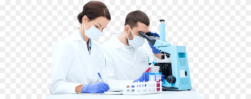 Scientific Research, Adult, Person, Woman, Glove Free Png Download