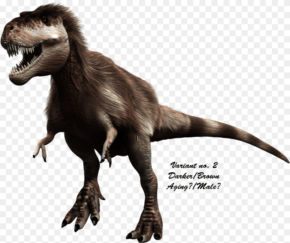 Scientifically Accurate T Rex Did T Rex Actually Look Trex Actually Looked Like, Animal, Dinosaur, Reptile, T-rex Png Image