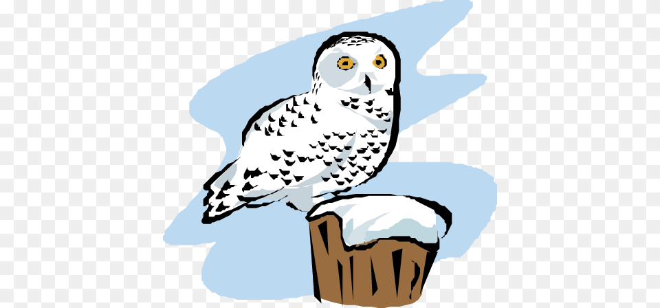Scientist Clipart Owl, Animal, Bird Png Image