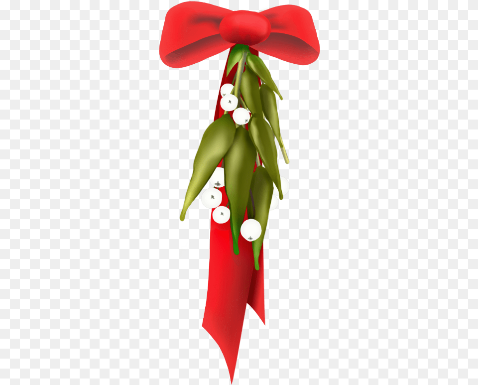 Scmistletoes Mistletoe Redribbon Bow Red Green Coquelicot, Adult, Female, Person, Woman Png Image