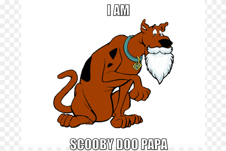 Scooby Doo Papa Meme Ing 4 Scooby Doo Saying Uh Oh Shaggy, Animal, Lion, Mammal, Wildlife Png