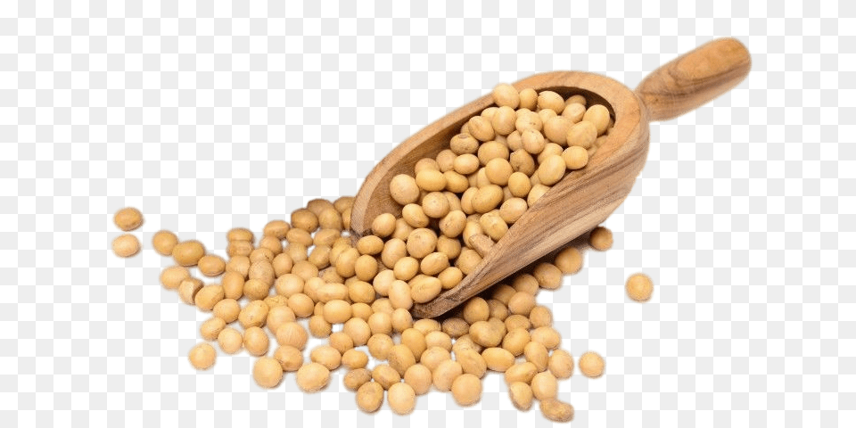 Scoop Of Dried Soybeans, Bean, Food, Plant, Produce Free Png