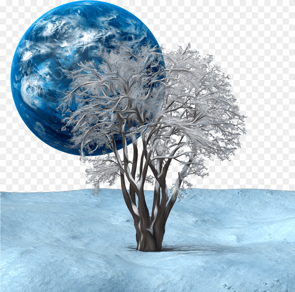 Score 50 Clip Art, Sphere, Ice, Tree, Plant Free Transparent Png