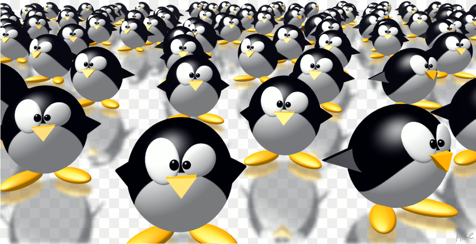 Score 61 Wallpaper, Animal, Bird, Penguin Free Png Download