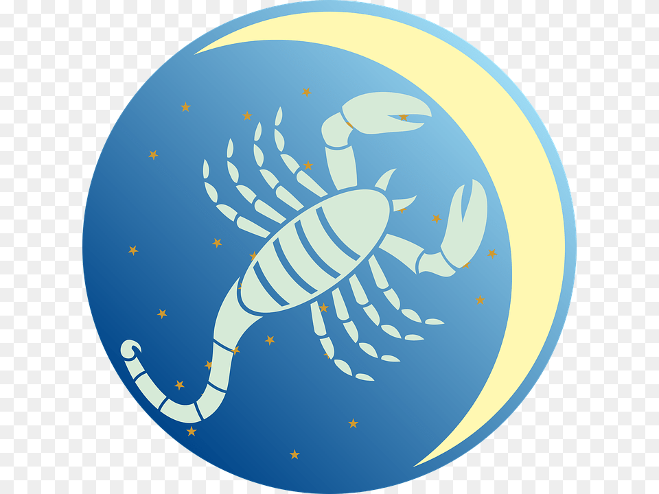 Scorpio, Astronomy, Outer Space, Animal Free Transparent Png