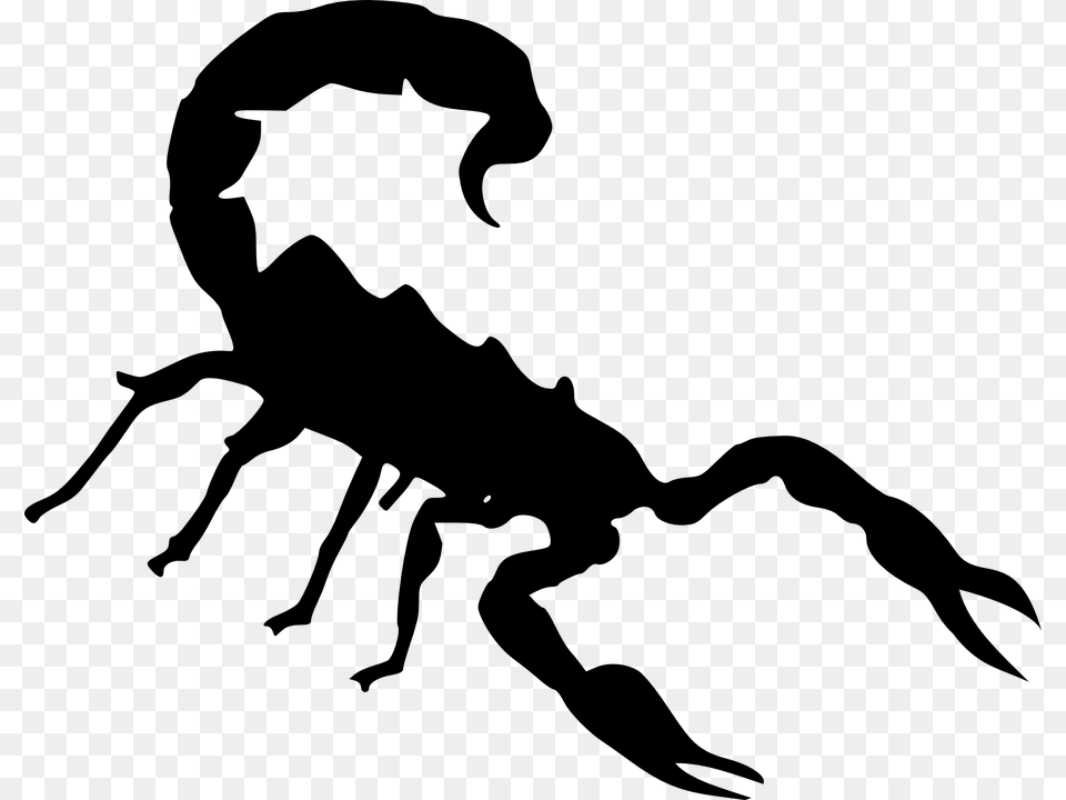 Scorpio, Gray Png Image