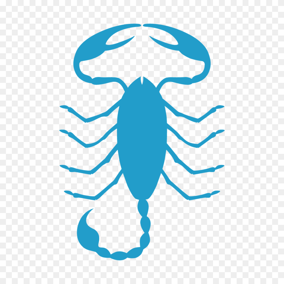 Scorpio, Animal, Baby, Person, Face Png Image