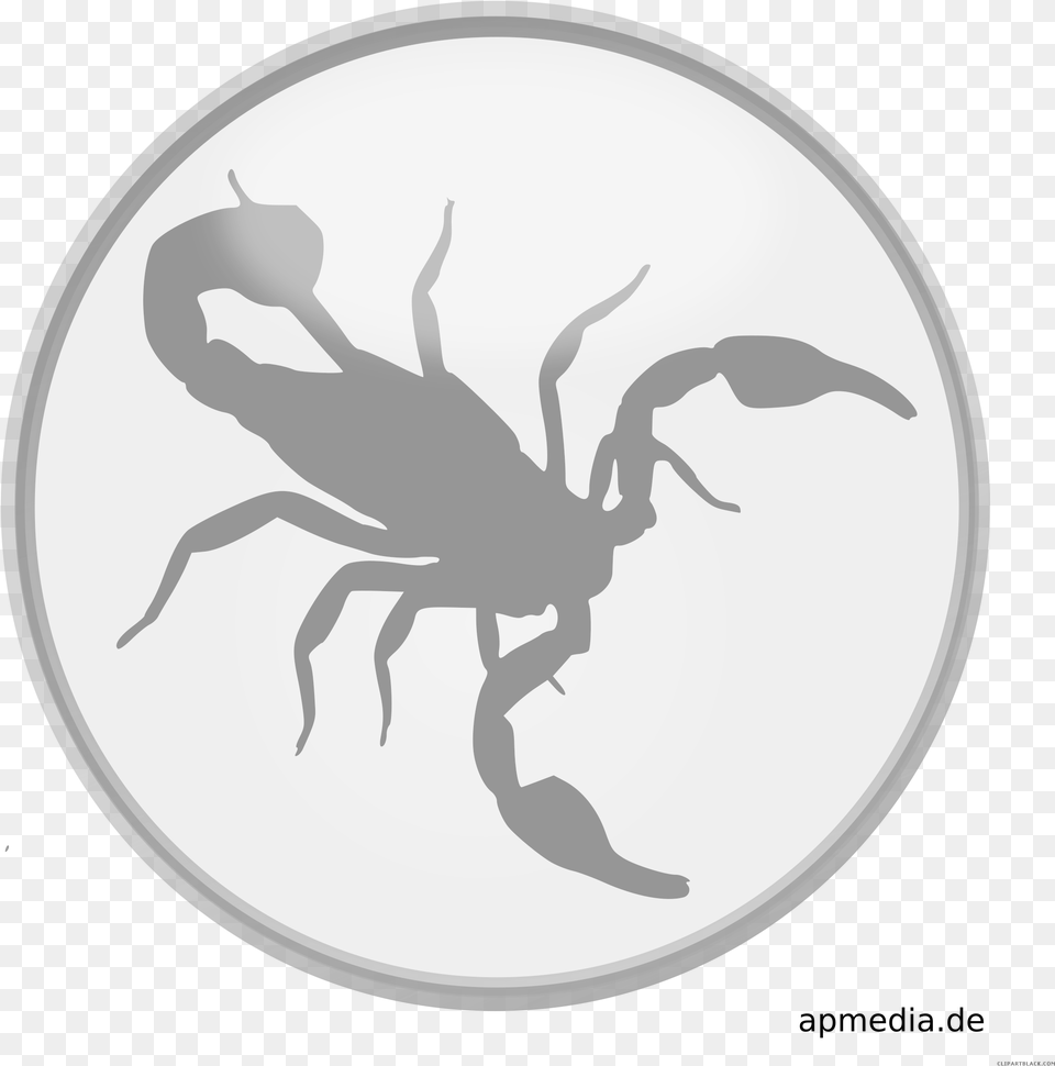 Scorpio, Animal, Invertebrate, Scorpion Free Png