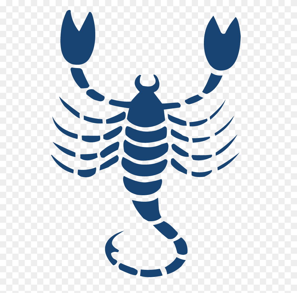Scorpio, Animal, Food, Seafood, Sea Life Png