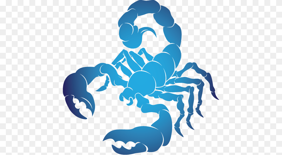 Scorpio, Baby, Electronics, Hardware, Person Free Transparent Png