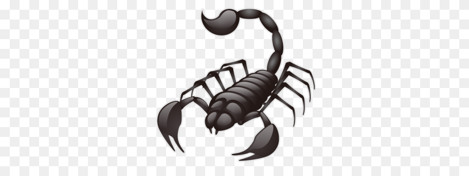 Scorpio, Animal, Invertebrate, Scorpion Free Transparent Png