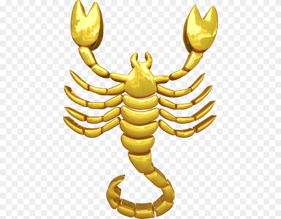 Scorpio Astrological Sign Zodiac Astrology Horoscope Scorpio Zodiac Sign Golden, Animal, Insect, Invertebrate, Sea Life Free Png Download