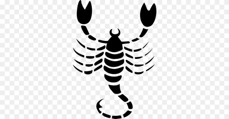 Scorpio Drawing, Gray Free Transparent Png