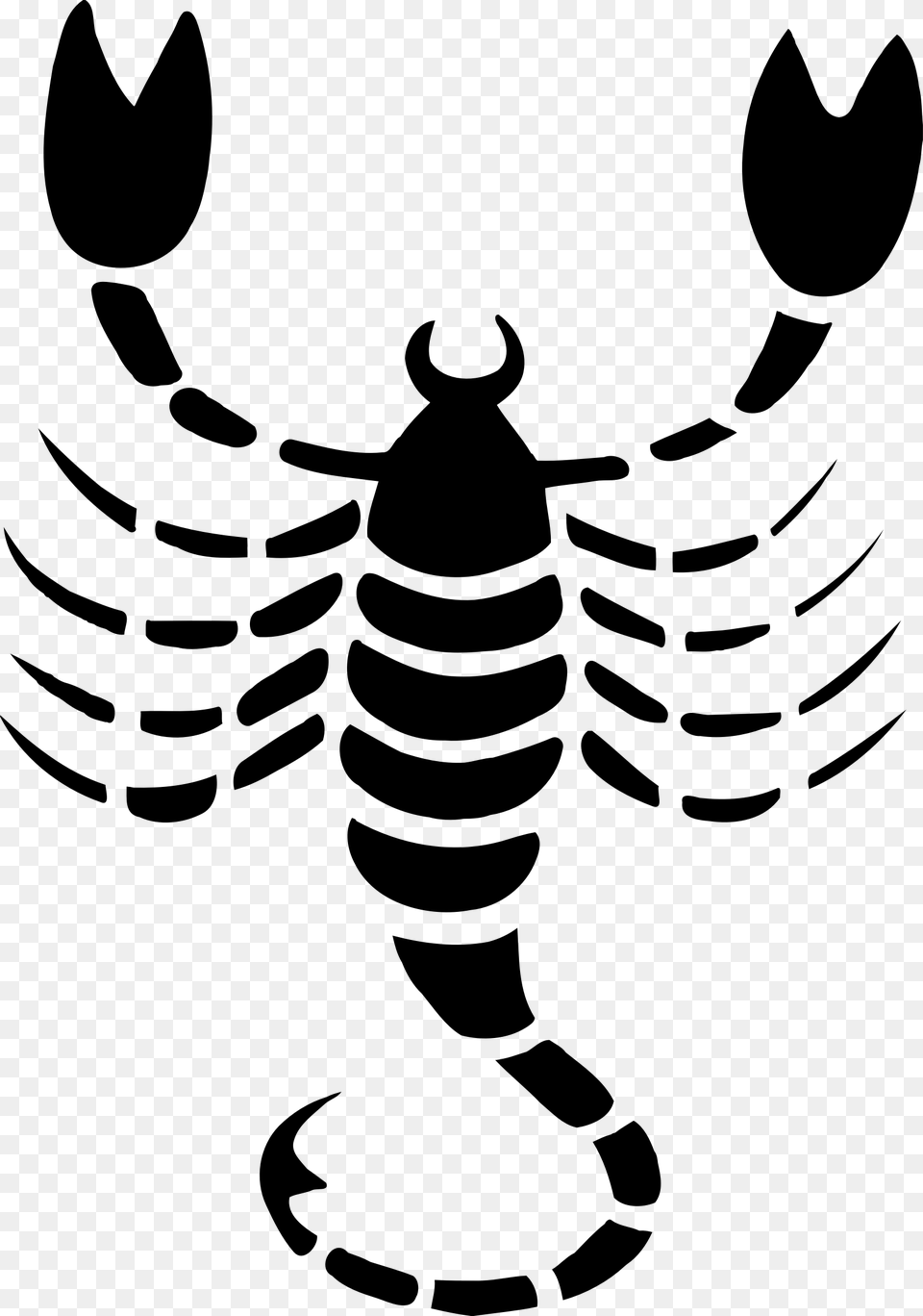 Scorpio Drawing 4 Clip Arts, Gray Free Transparent Png