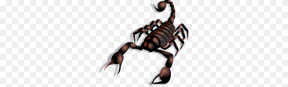 Scorpio Icon Cliparts, Animal, Invertebrate, Scorpion, Appliance Free Png Download