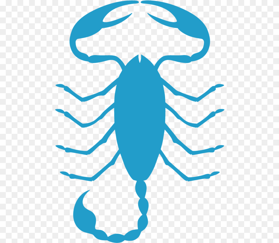 Scorpio Illustration, Animal, Person Png