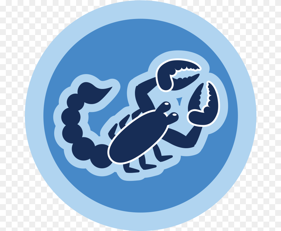 Scorpio Oct 23 Nov Circle, Animal, Reptile, Sea Life, Turtle Free Png Download