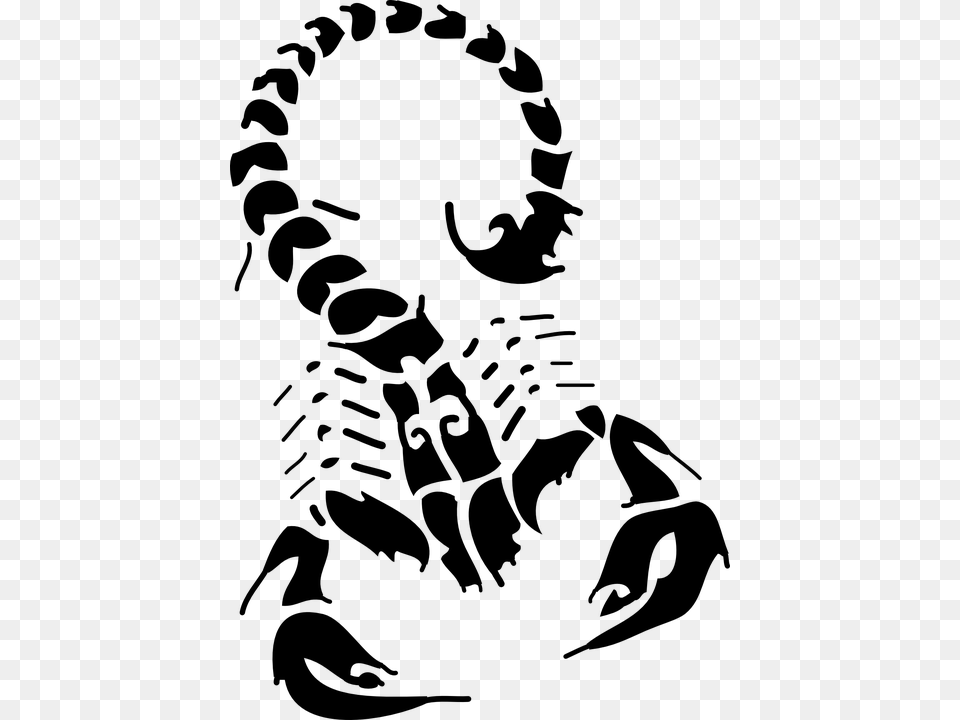 Scorpio Scorpion Tattoo, Gray Free Png