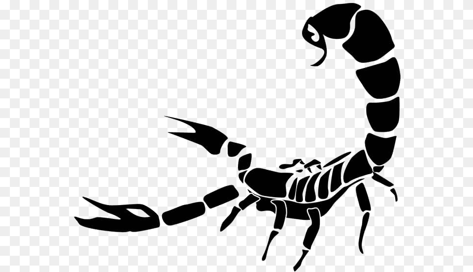 Scorpio Tattoo Photo Scorpio Tattoo, Animal, Invertebrate, Scorpion Free Png