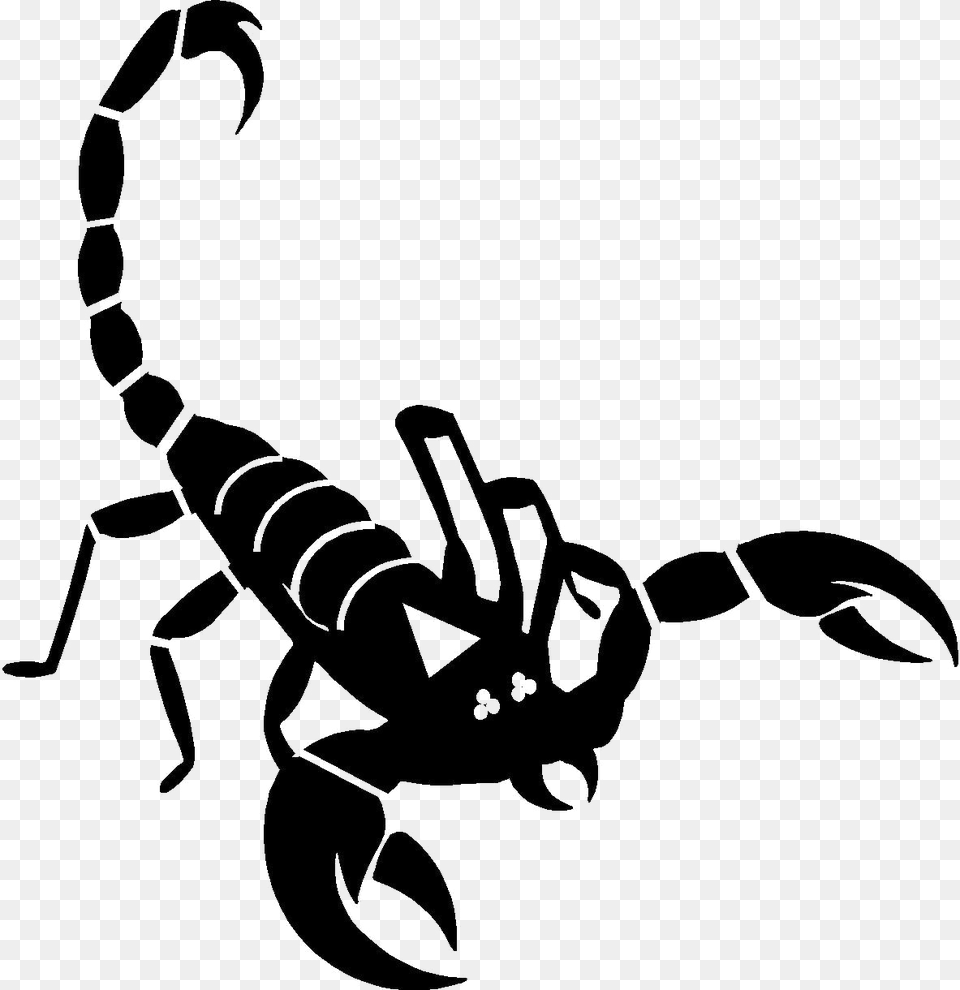 Scorpio Transparent Free Download, Stencil, Animal, Invertebrate, Scorpion Png Image