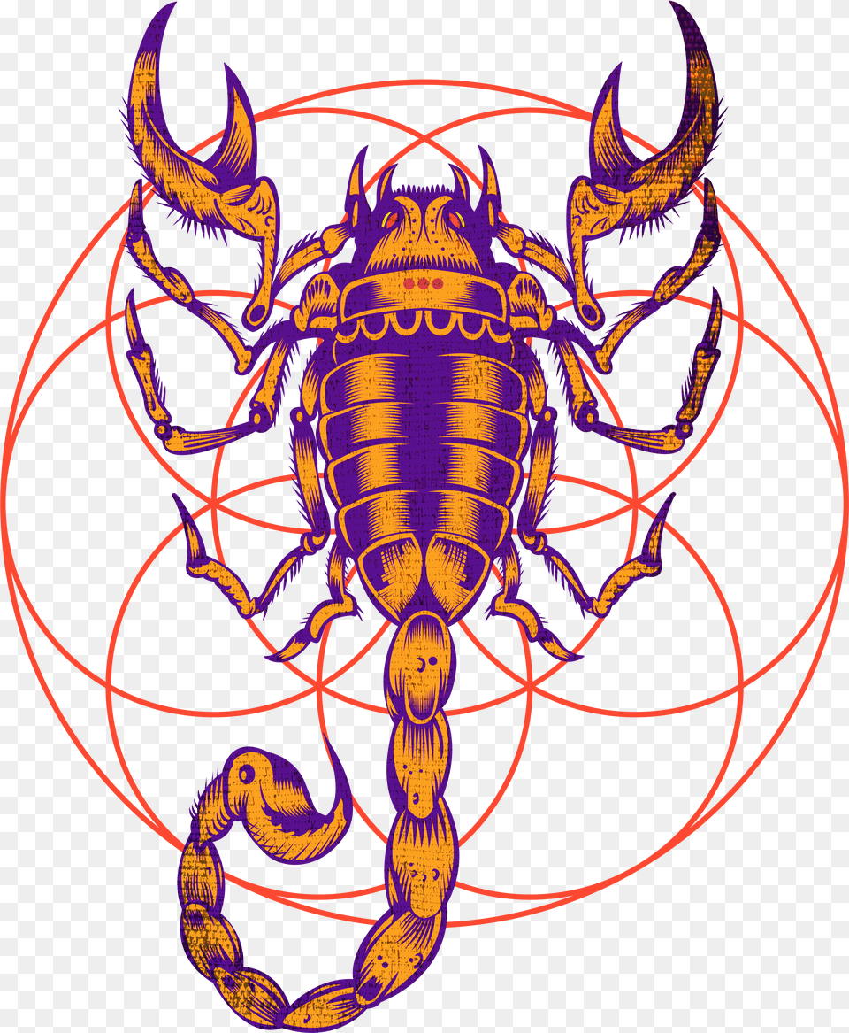Scorpio Zodiac Sign Art Free Png