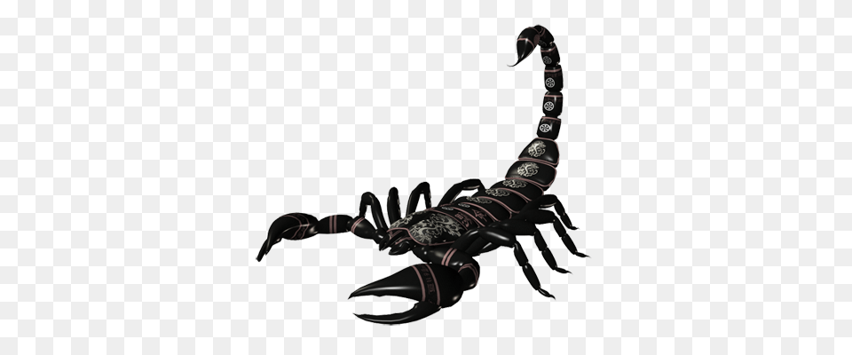 Scorpion, Animal, Invertebrate Png Image