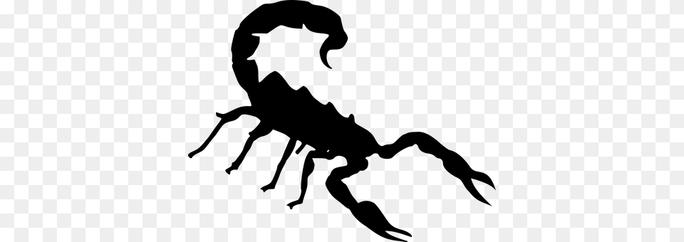 Scorpion Gray Png