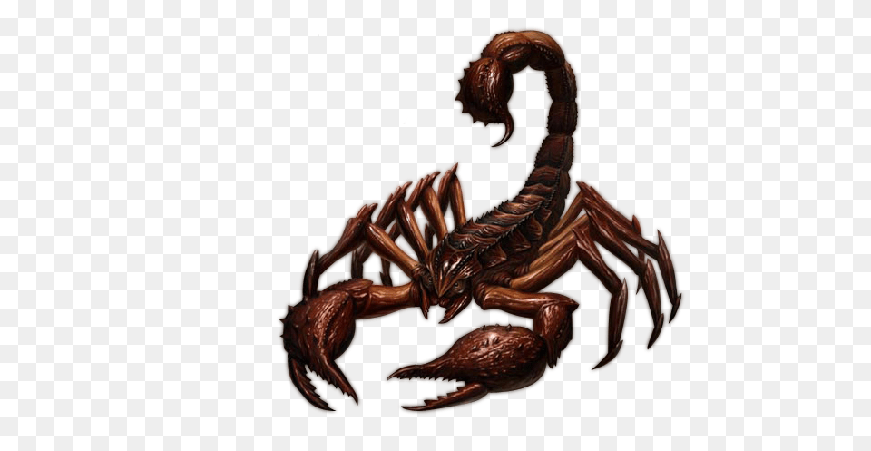 Scorpion, Electronics, Hardware, Animal, Food Free Transparent Png