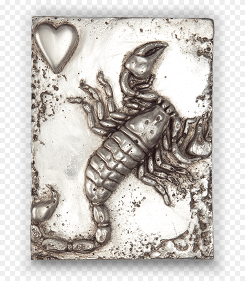 Scorpion, Animal, Insect, Invertebrate Free Transparent Png