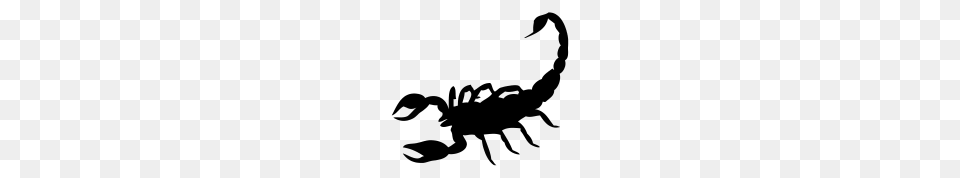 Scorpion, Gray Png