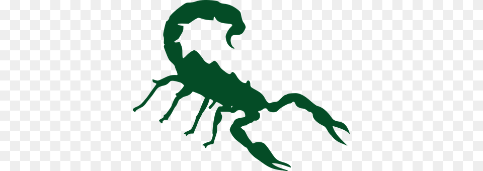 Scorpion Animal, Invertebrate, Person Free Png