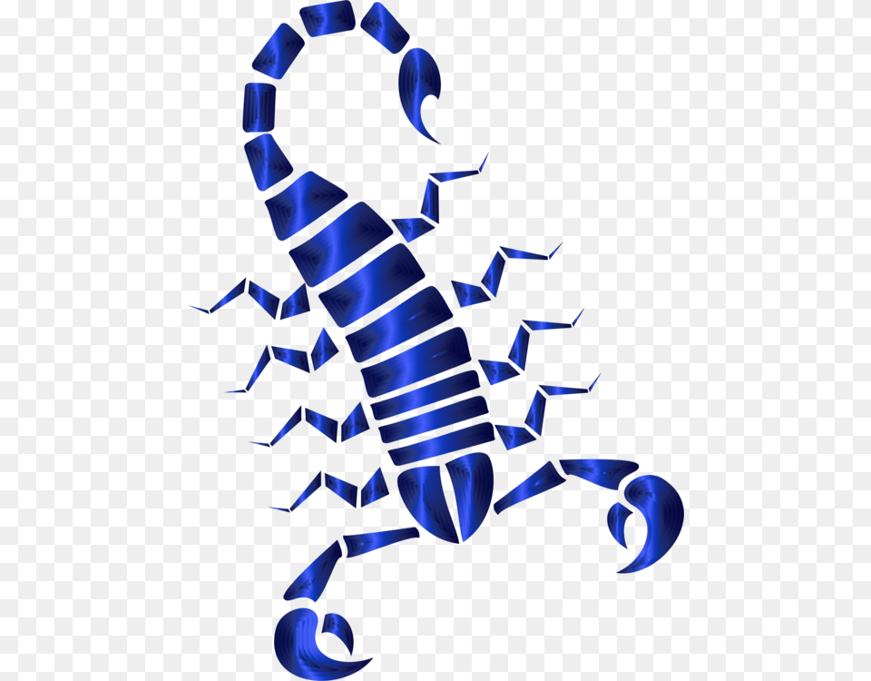 Scorpion Arachnid Venom Animal Computer Icons, Invertebrate, Baby, Person Free Png Download