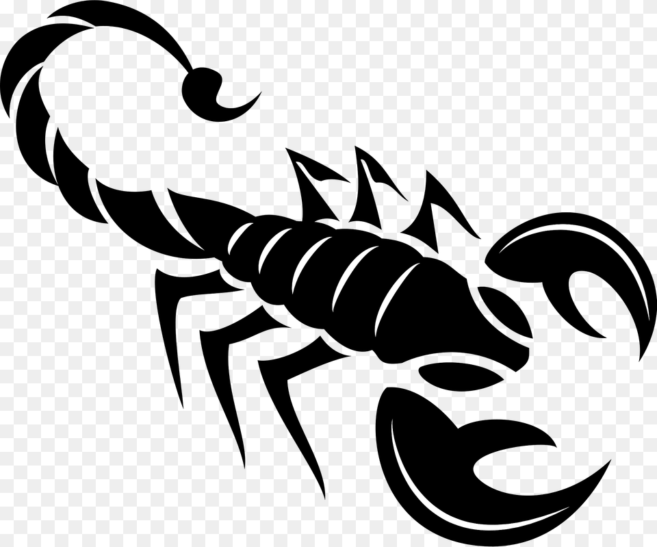 Scorpion Clipart, Electronics, Hardware, Animal, Invertebrate Png Image