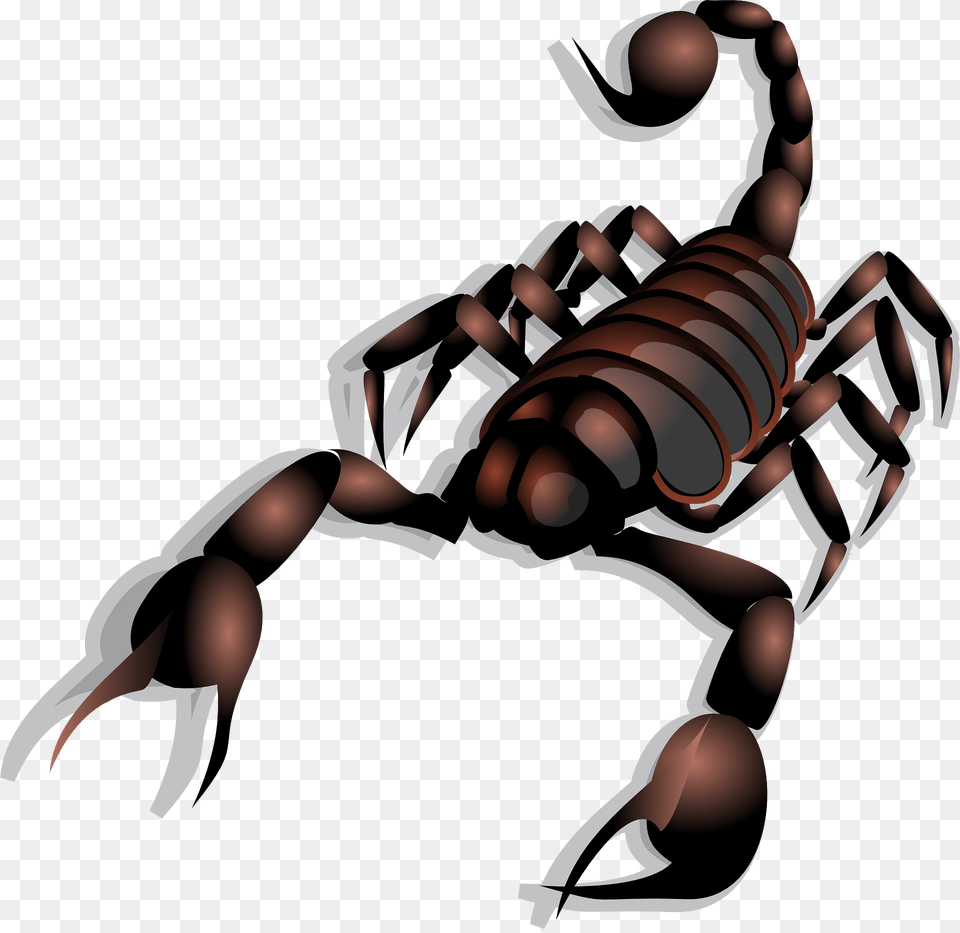 Scorpion Clipart, Animal, Invertebrate, Bonfire, Fire Png Image