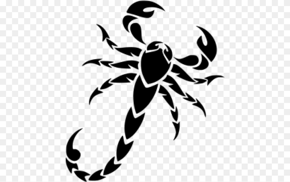 Scorpion Clipart Black And White, Gray Free Png Download