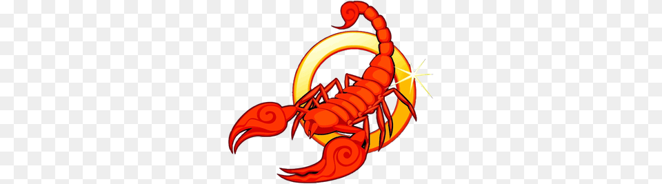 Scorpion Clipart Images, Animal, Sea Life Free Png