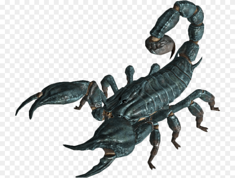 Scorpion Download 13 Fallout New Vegas Enemies, Animal, Insect, Invertebrate, Electronics Png