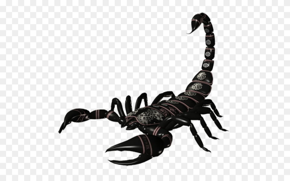 Scorpion Download, Animal, Invertebrate, Electronics, Hardware Png