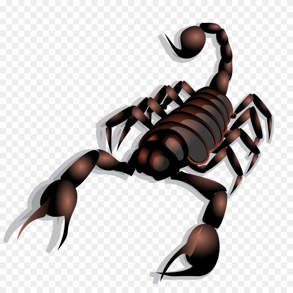 Scorpion Icons, Animal, Invertebrate, Bonfire, Fire Free Transparent Png