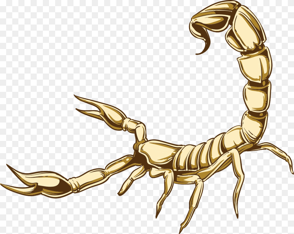 Scorpion Illustration, Animal, Invertebrate, Chandelier, Lamp Free Png Download
