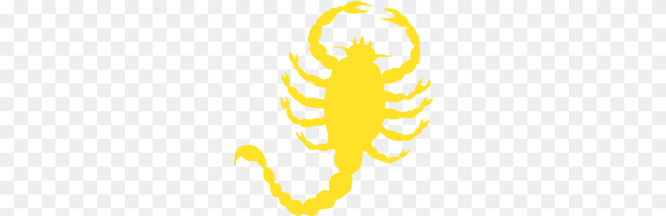 Scorpion Insignia Drive Scorpion, Baby, Person, Face, Head Free Png Download
