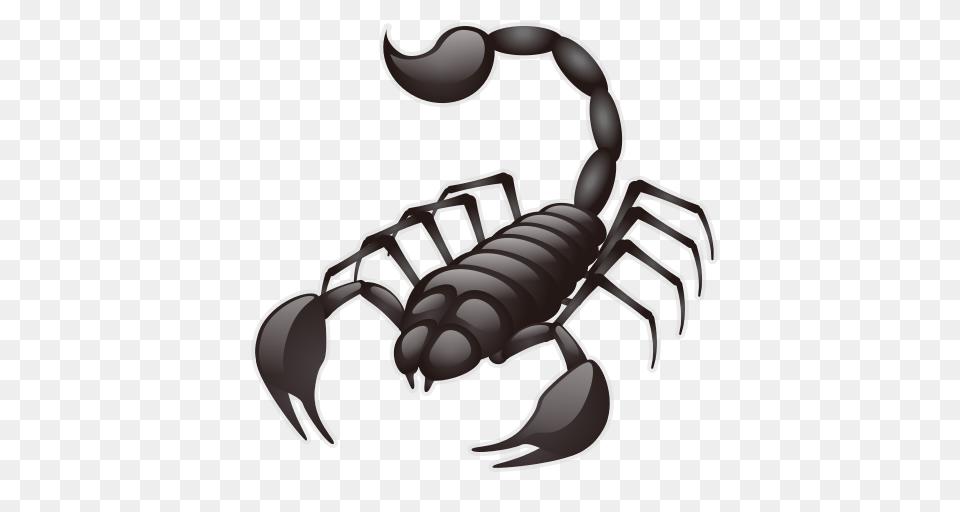 Scorpion Photos, Animal, Invertebrate Free Png Download