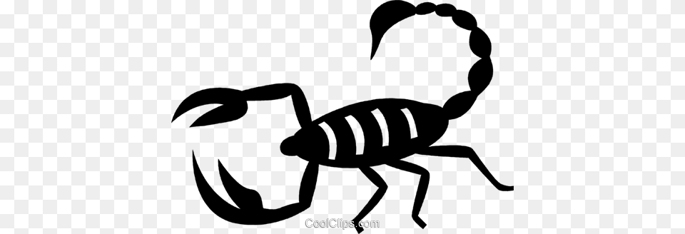 Scorpion Royalty Vector Clip Art Illustration, Animal, Invertebrate, Kangaroo, Mammal Png