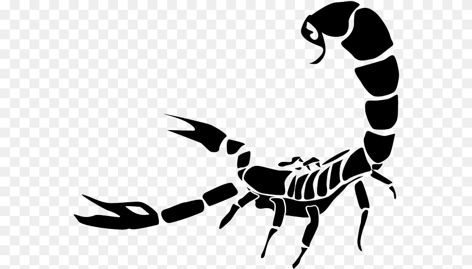 Scorpion Scorpion, Animal, Invertebrate Free Png Download